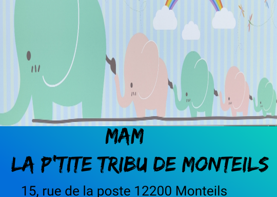 présentation MAM